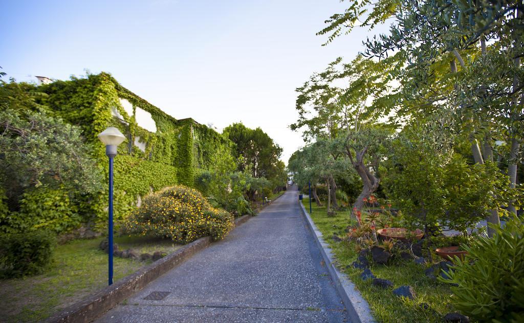 Hotel Terme Alexander Ischia Ngoại thất bức ảnh