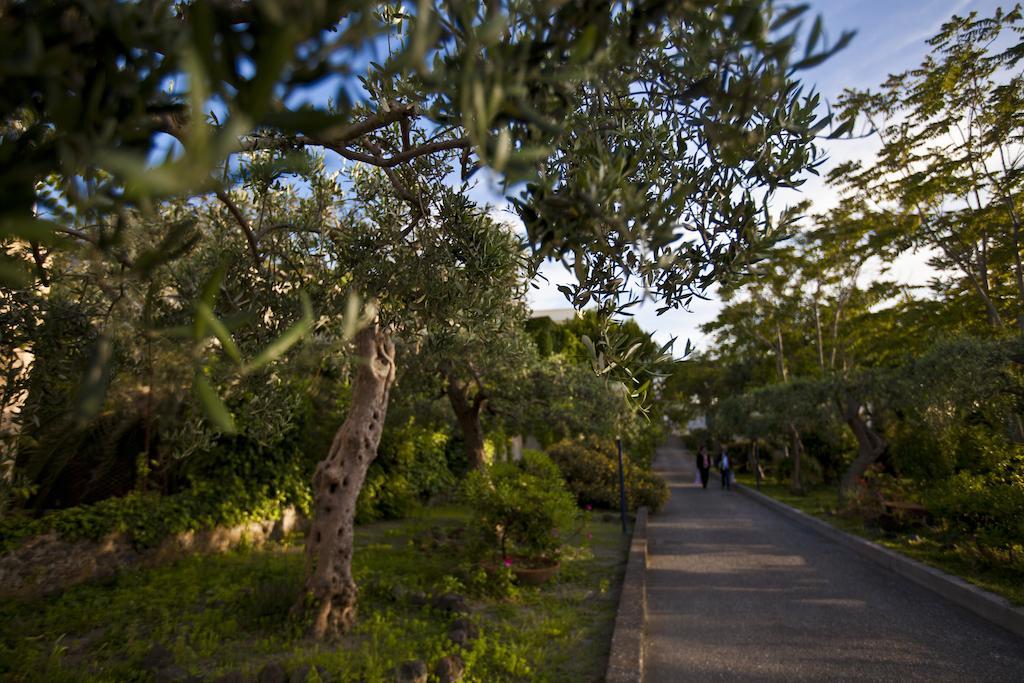 Hotel Terme Alexander Ischia Ngoại thất bức ảnh